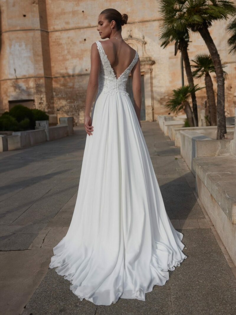 Camelia – Image 3