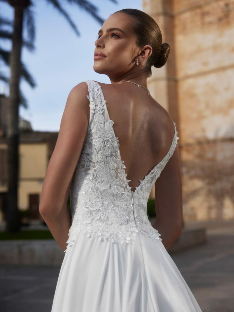 Camelia – Image 2