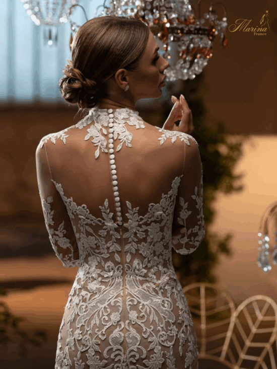 Robe dentelle sirène avec manches et dos transparent en tulle